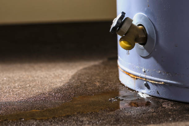 Best Water damage restoration near me  in Lincoln, NE