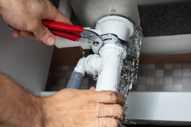 Best Professional water damage repair  in Lincoln, NE
