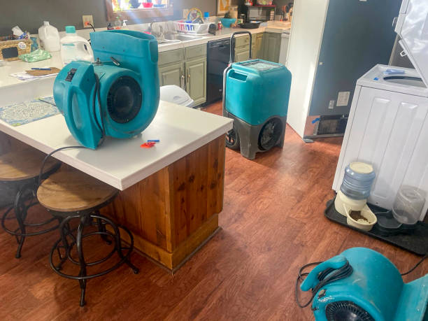 Best Flood damage cleanup  in Lincoln, NE