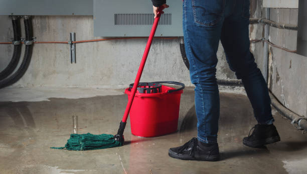 Best Ceiling water damage repair  in Lincoln, NE
