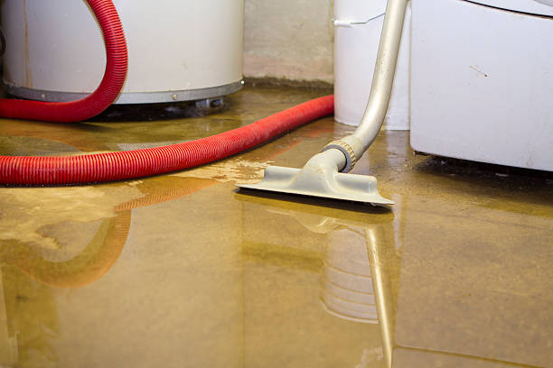 Best Mold removal after water damage  in Lincoln, NE