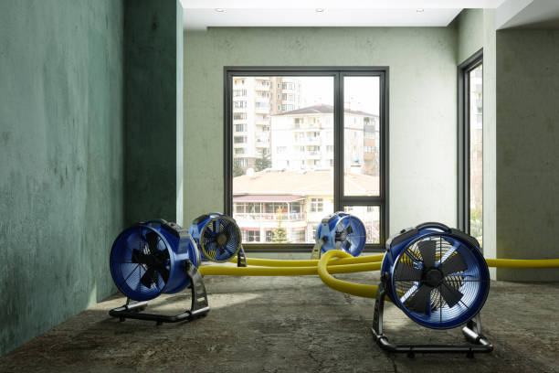 Best Residential water damage restoration  in Lincoln, NE