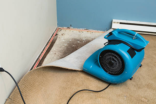 Best Fire Damage Restoration  in Lincoln, NE